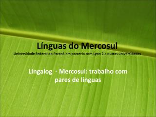 Línguas do Mercosul Universidade Federal do Paraná em parceria com Lyon 2 e outras universidades