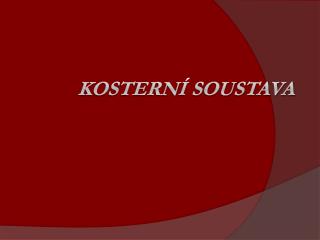 KOSTERNÍ SOUSTAVA