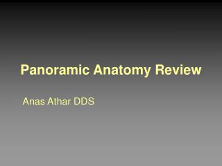 Panoramic Anatomy Review