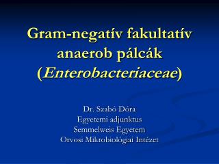 Gram-negatív fakultatív anaerob pálcák ( Enterobacteriaceae )