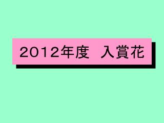 ２０１２年度　入賞花