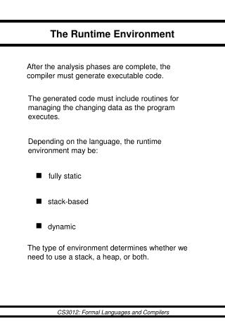 The Runtime Environment