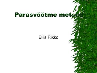 Parasvöötme metsad