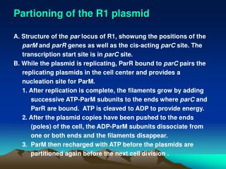 Partioning of the R1 plasmid