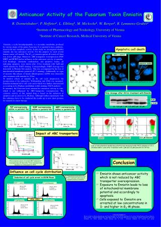 Anticancer Activity of the Fusarium Toxin Enniatin