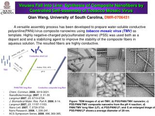 Qian Wang, University of South Carolina, DMR-0706431