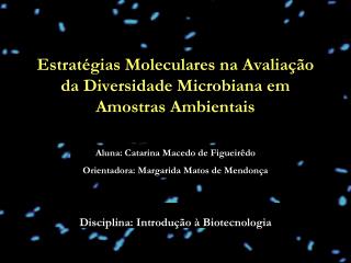 Disciplina: Introdução à Biotecnologia