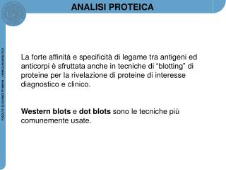 ANALISI PROTEICA