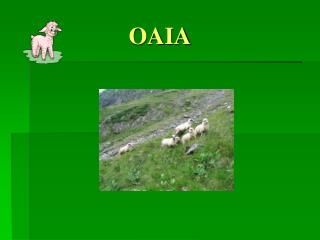 OAIA