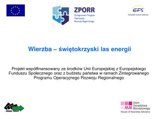 Wierzba – świętokrzyski las energii