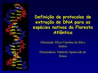 Definição de protocolos de extração de DNA para as espécies nativas da Floresta Atlântica