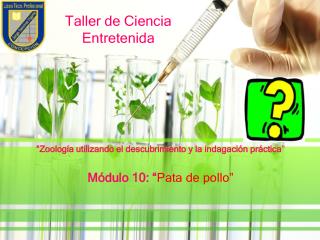 Taller de Ciencia Entretenida