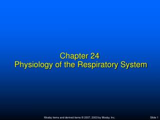 Chapter 24 Physiology of the Respiratory System