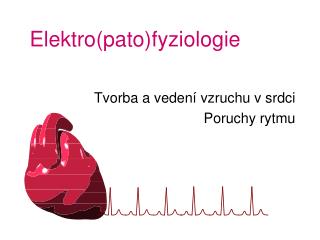 Elektro(pato)fyziologie