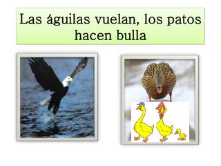 Las águilas vuelan, los patos hacen bulla