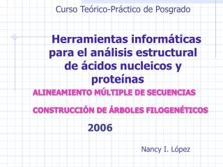 Curso Teórico-Práctico de Posgrado Herramientas informáticas para el análisis estructural