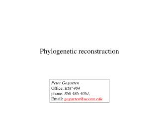 Phylogenetic reconstruction