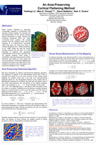 An Area-Preserving Cortical Flattening Method