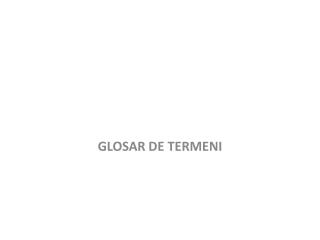 GLOSAR DE TERMENI