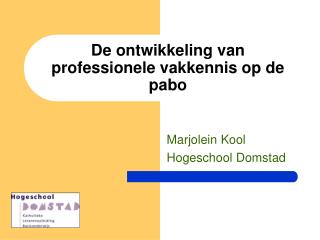 De ontwikkeling van professionele vakkennis op de pabo