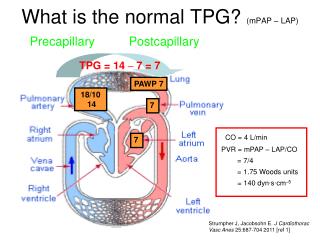 What is the normal TPG? (mPAP – LAP)