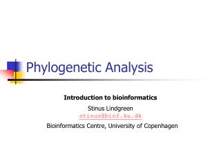 Phylogenetic Analysis