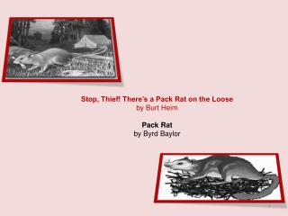 Stop, Thief! There’s a Pack Rat on the Loose by Burt Heim Pack Rat by Byrd Baylor