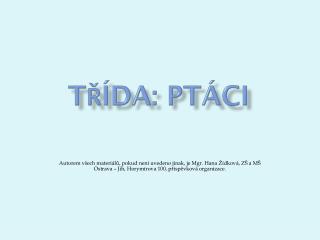 Třída: Ptáci