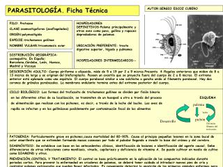 PARASITOLOGÍA. Ficha Técnica