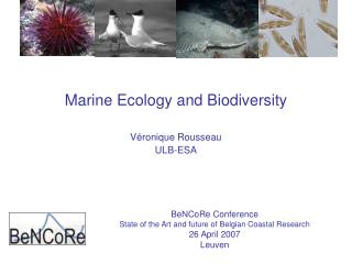 Marine Ecology and Biodiversity Véronique Rousseau ULB-ESA