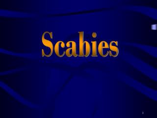 Scabies