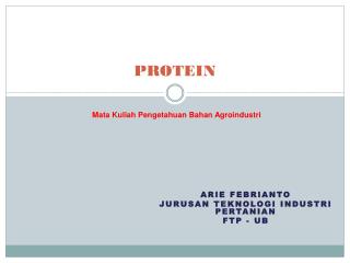 PROTEIN