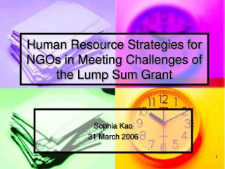 Human Resource Strategies for NGOs in Meeting Challenges of the Lump Sum Grant