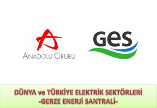 DÜNYA ve TÜRKİYE ELEKTRİK SEKTÖRLERİ -GERZE ENERJİ SANTRALİ-