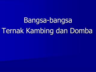 Bangsa-bangsa