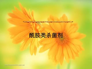 酰胺类杀菌剂