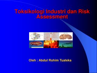 Toksikologi Industri dan Risk Assessment