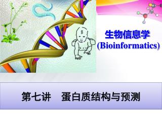 生物信息学 (Bioinformatics)