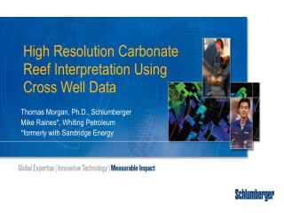 High Resolution Carbonate Reef Interpretation Using Cross Well Data