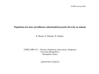 Population size does not influence mitochondrial genetic diversity in animals