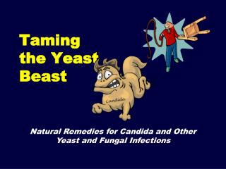 Taming the Yeast Beast