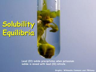 Solubility Equilibria