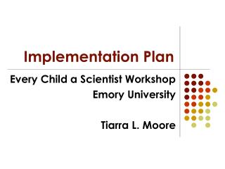 Implementation Plan