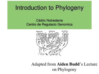 Introduction to Phylogeny Cédric Notredame Centro de Regulacio Genomica