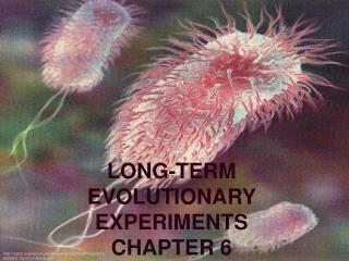 LONG-TERM EVOLUTIONARY EXPERIMENTS CHAPTER 6