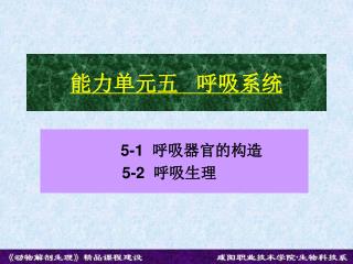 能力单元五 呼吸系统