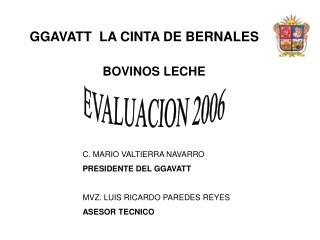 GGAVATT LA CINTA DE BERNALES