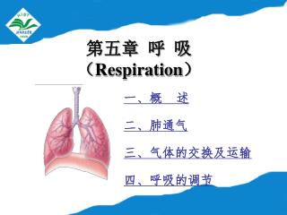 第五章 呼 吸 （ Respiration ）