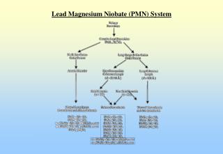 Lead Magnesium Niobate (PMN) System