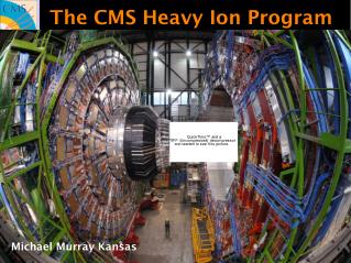 The CMS Heavy Ion Program